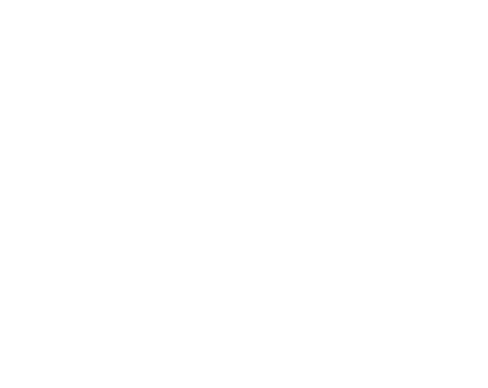 Regina Aparicio Blanch - Logo